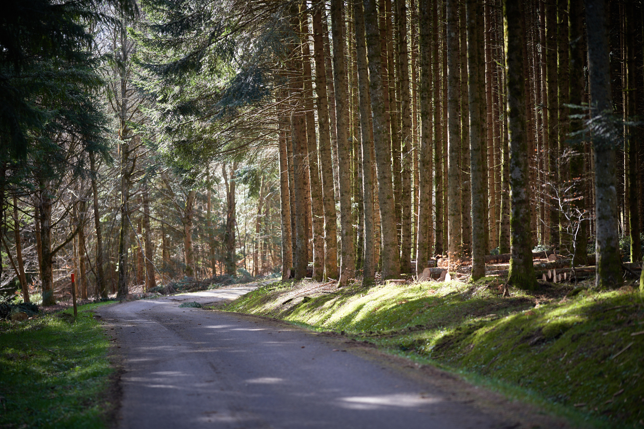 Groupe Gallien — Vidéo & drone — Alex Havret