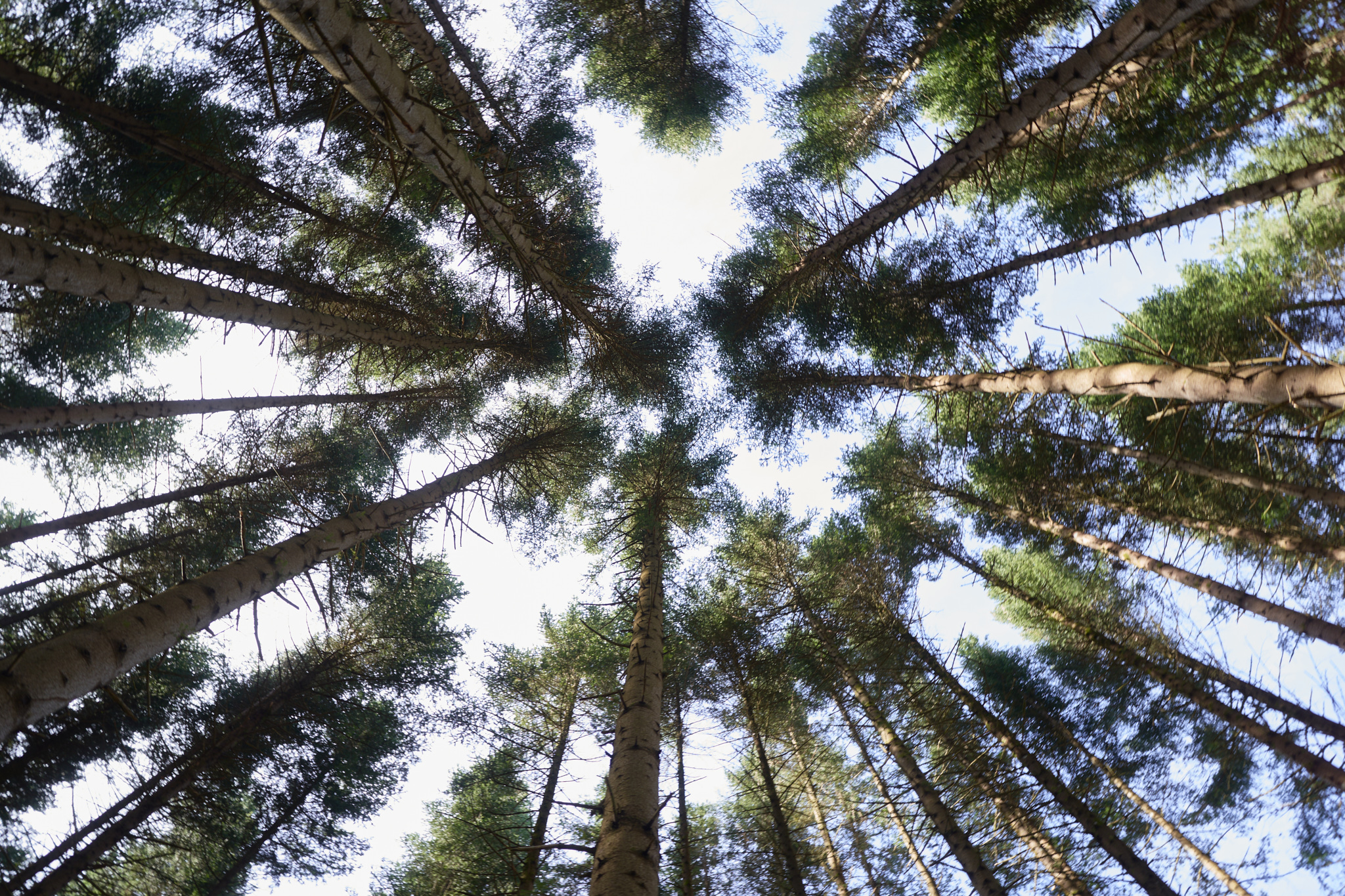 Groupe Gallien — Vidéo & drone — Alex Havret