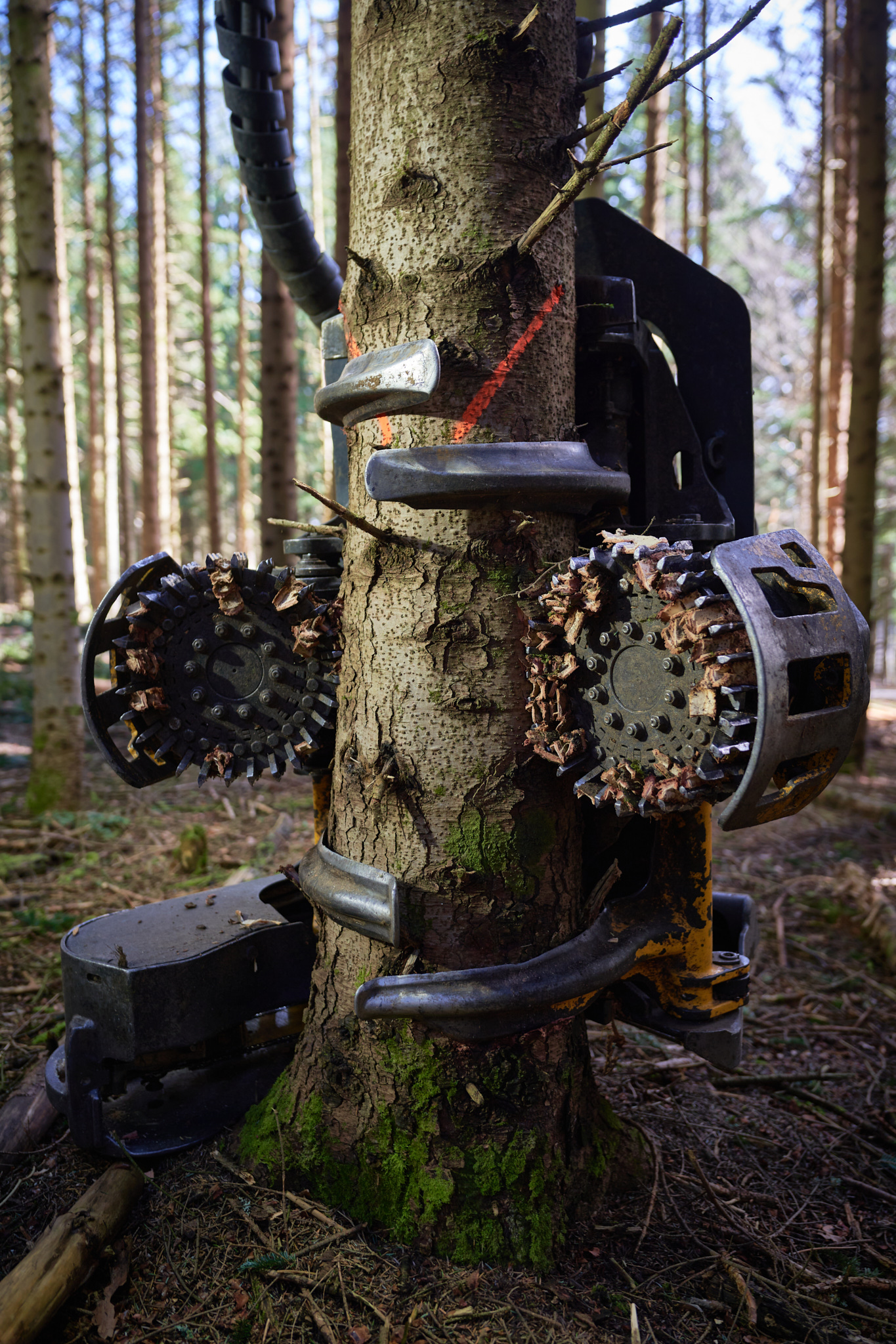 Groupe Gallien — Reportage — Alex Havret