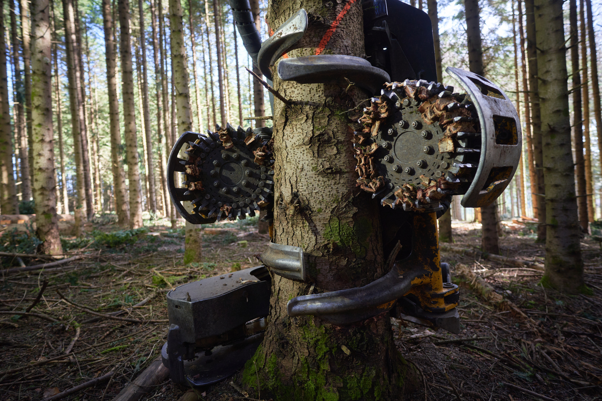 Groupe Gallien — Reportage — Alex Havret