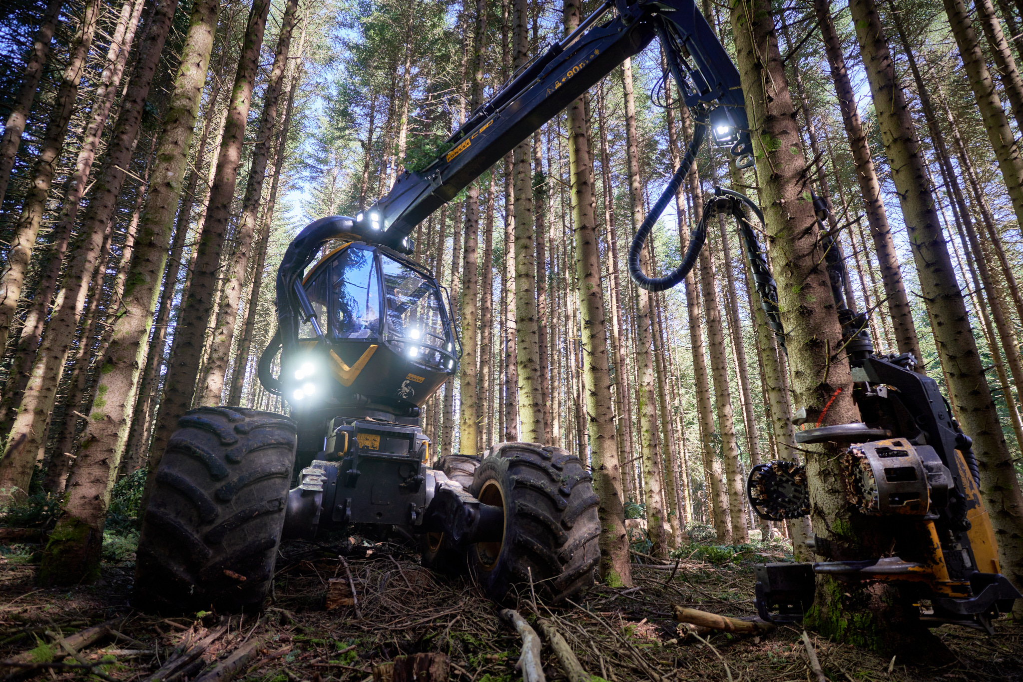 Groupe Gallien — Reportage — Alex Havret