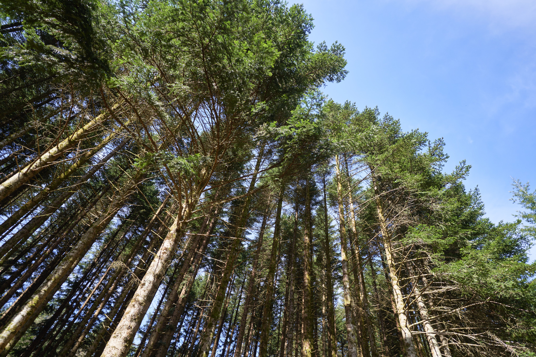 Groupe Gallien — Reportage — Alex Havret