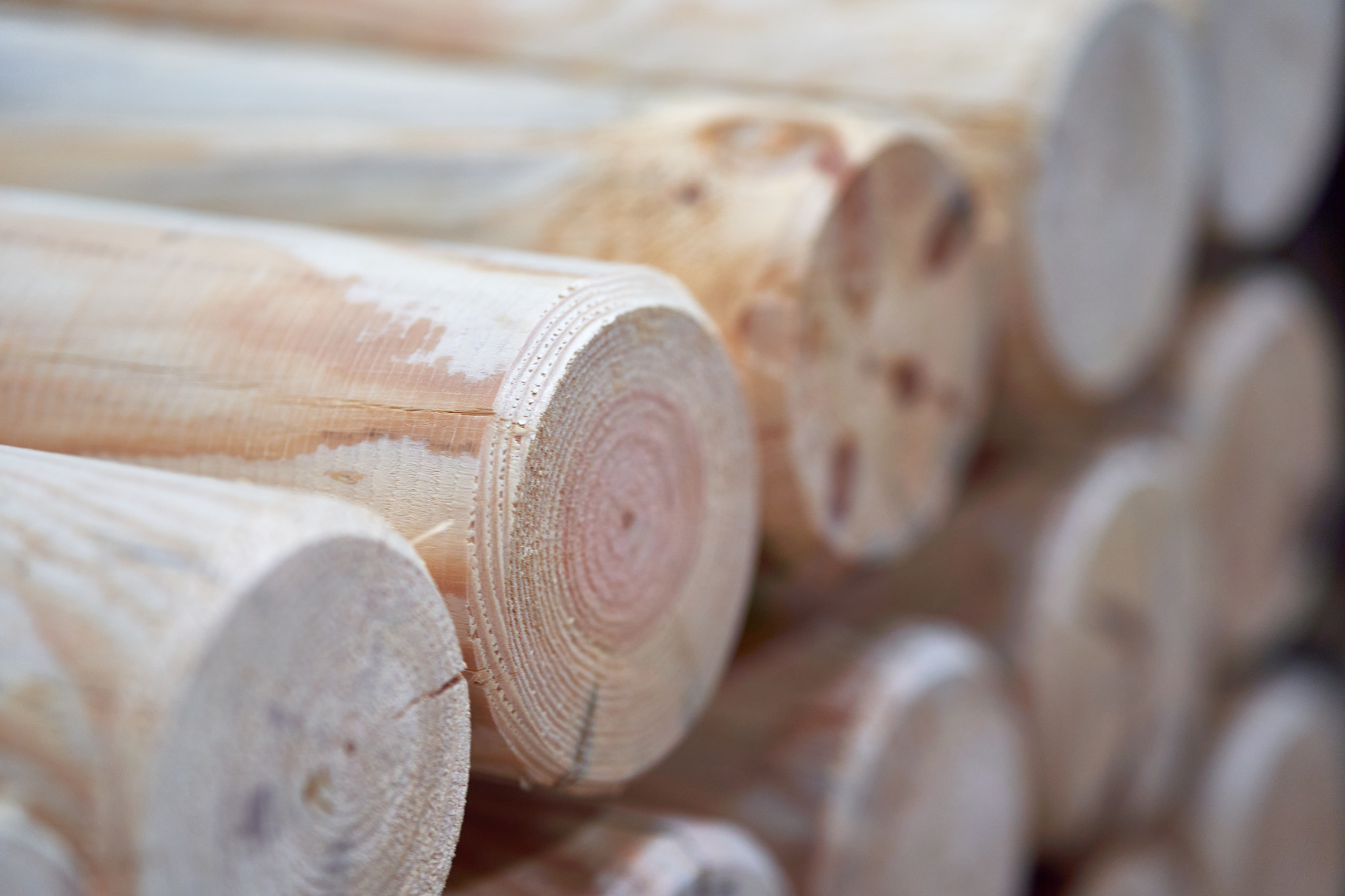 Groupe Gallien — Filière bois — Alex Havret